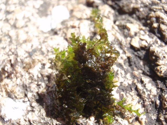 d0187020_2251225.jpg