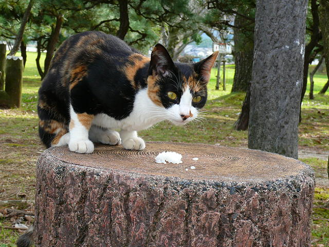 b0190921_21375161.jpg