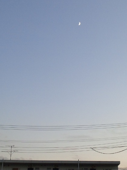 b0199924_1524138.jpg