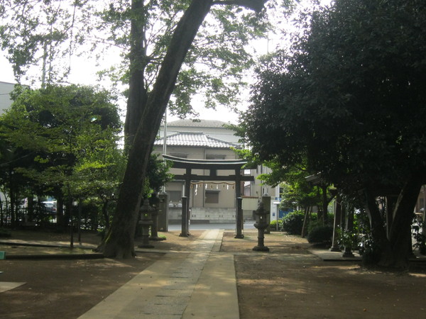 d0145528_2262639.jpg