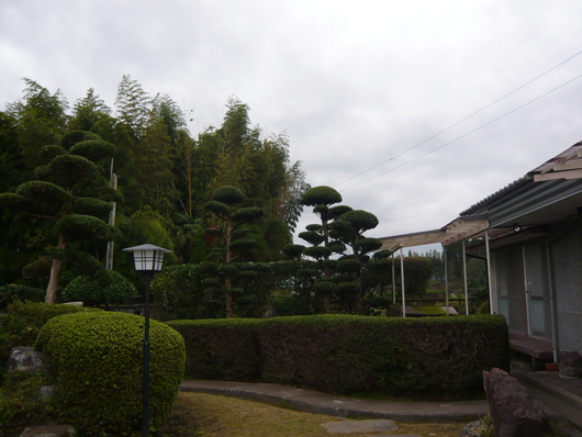 a0206332_763884.jpg