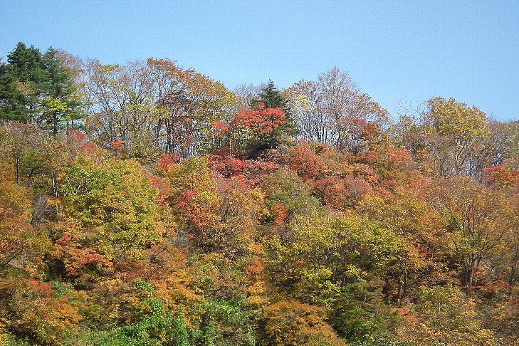 f0118332_11324813.jpg