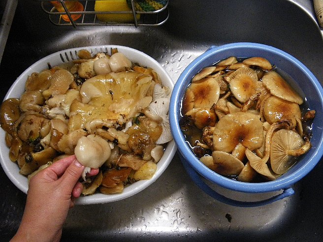 f0118332_11461827.jpg