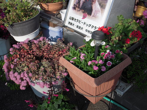 c0114833_1821862.jpg