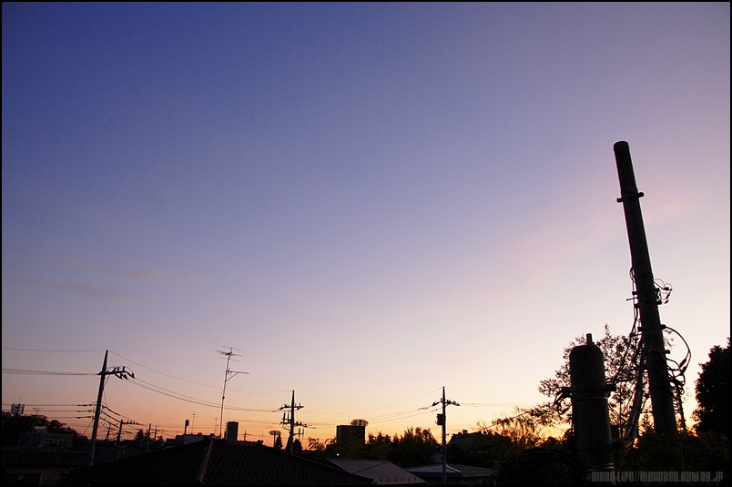 c0164234_735330.jpg