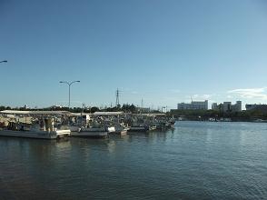 b0231835_1610506.jpg
