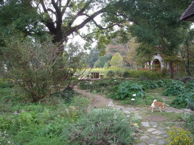 b0174236_16504683.jpg