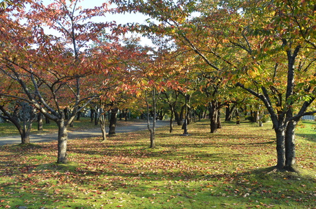 d0156438_15592100.jpg