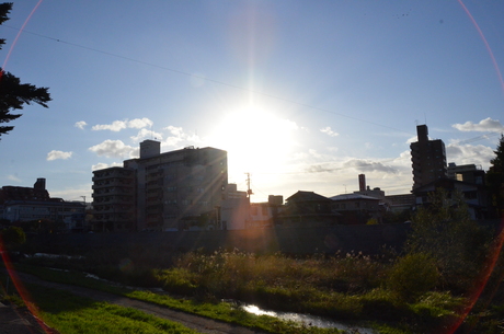 d0156438_9311747.jpg