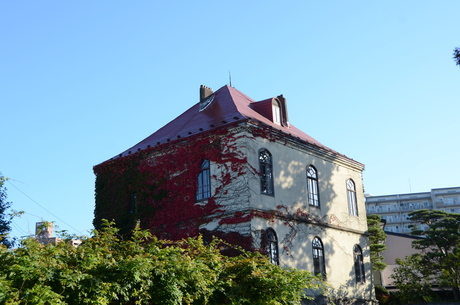 d0156438_9385160.jpg