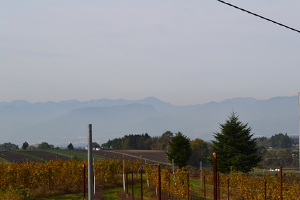 e0228938_19321883.jpg