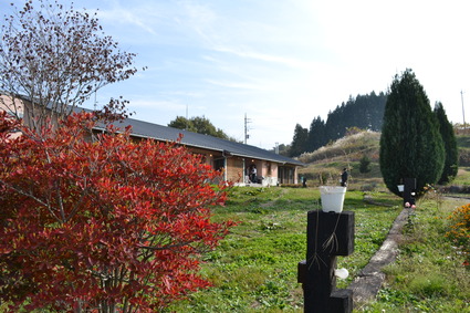 e0228938_1951068.jpg