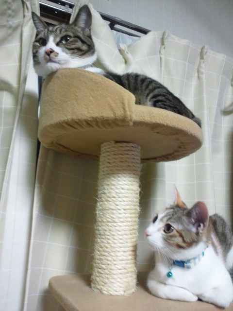 c0194042_2143170.jpg