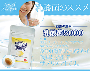 d0240442_852519.png
