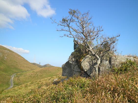 e0164643_1548157.jpg