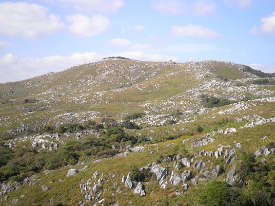 e0164643_1558233.jpg