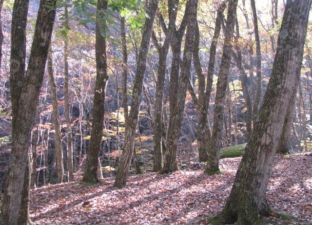 f0151044_13401665.jpg