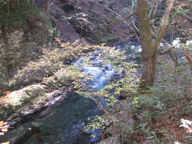 f0151044_13402950.jpg