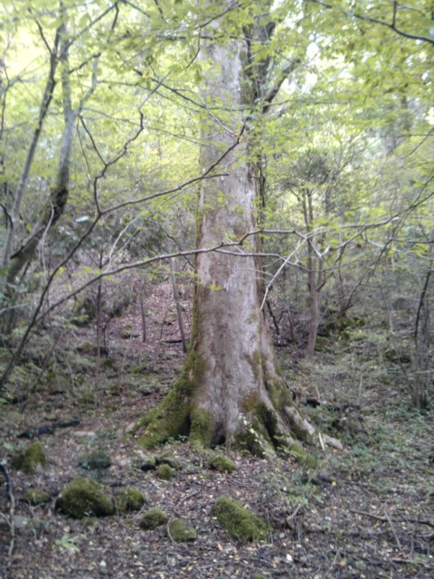 e0067358_17522457.jpg