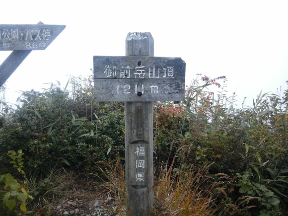 e0067358_1752545.jpg