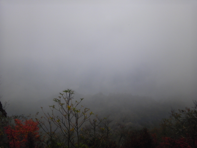 e0067358_17533844.jpg