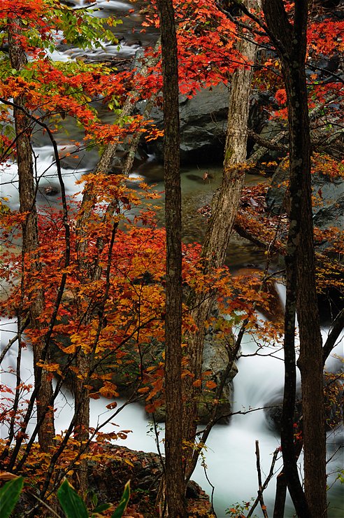 f0222161_1454762.jpg
