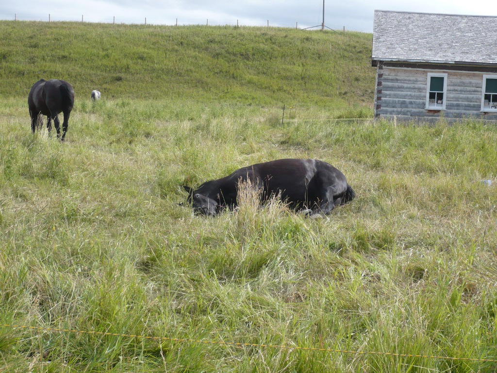 f0214562_0122145.jpg