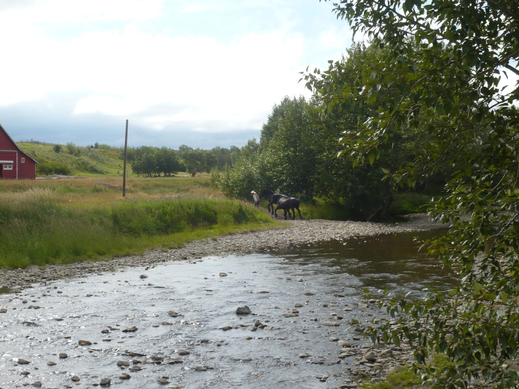 f0214562_04468.jpg