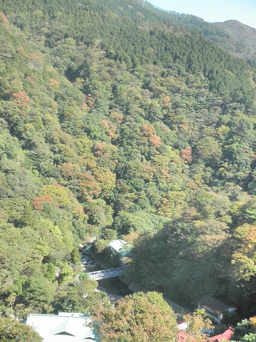 b0145863_053618.jpg