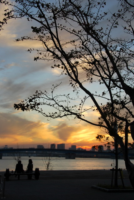 b0174068_0542321.jpg