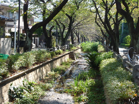 e0207477_8202852.jpg