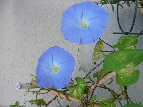 f0014980_14534924.jpg