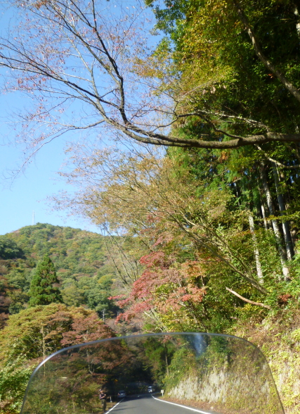 d0179983_20383147.jpg