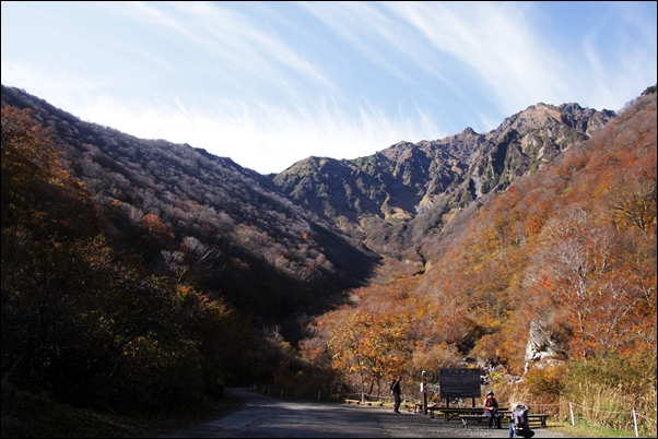 e0027083_220857.jpg