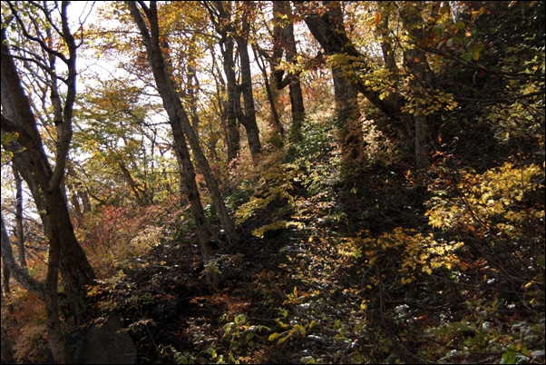 e0027083_22484766.jpg