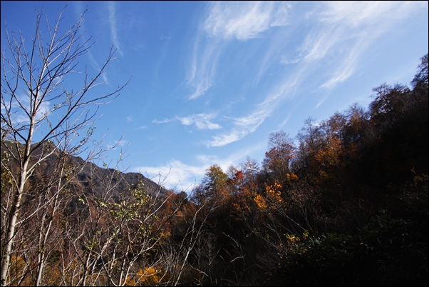 e0027083_2322421.jpg