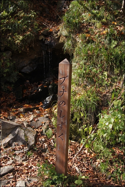 e0027083_2325036.jpg