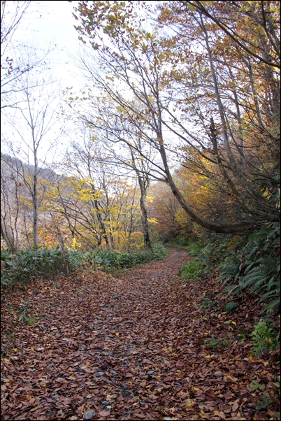 e0027083_235787.jpg