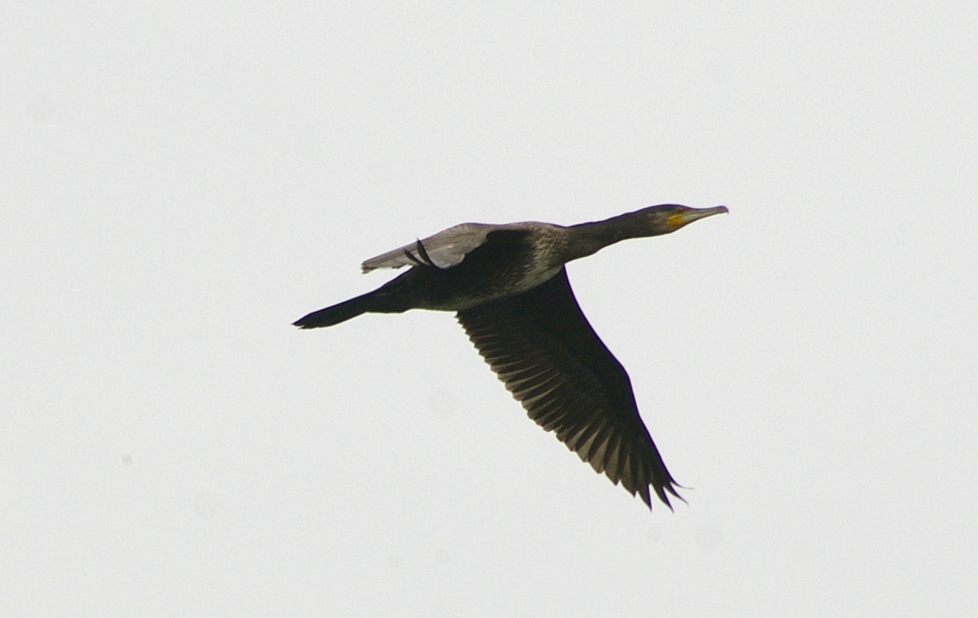 e0197884_23224433.jpg