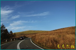 d0044986_005249.jpg