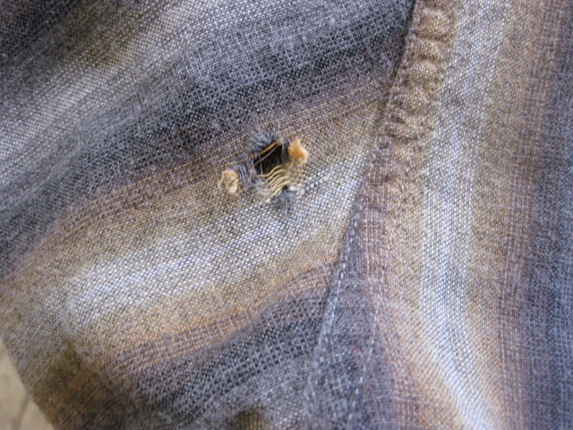 c0226387_1552322.jpg