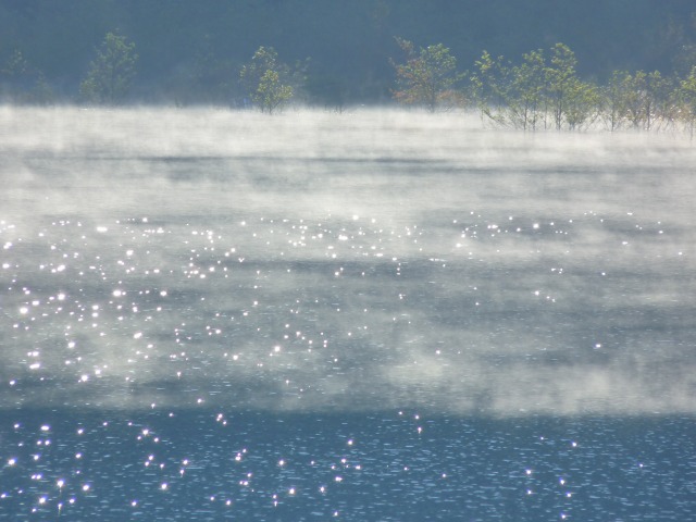 e0202393_6441736.jpg