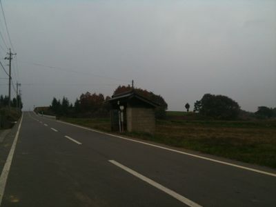 a0011999_12244446.jpg