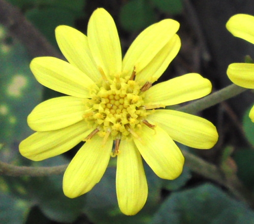 a0031000_18243424.jpg