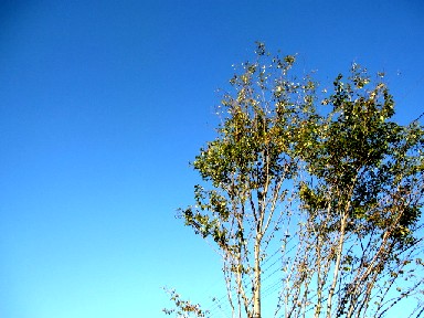 a0040103_20555542.jpg