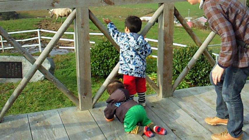 d0149105_2026826.jpg