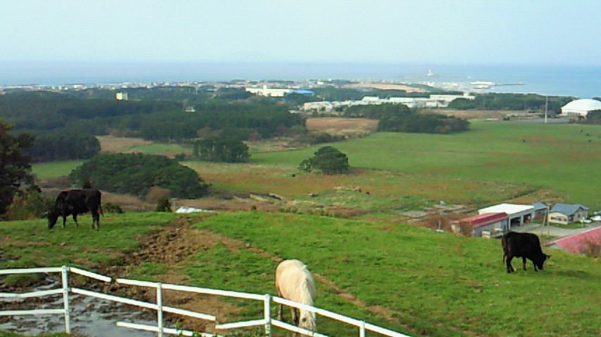 d0149105_202685.jpg