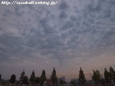 e0145805_2314323.jpg