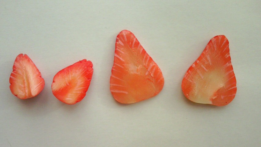 a0223107_929386.jpg