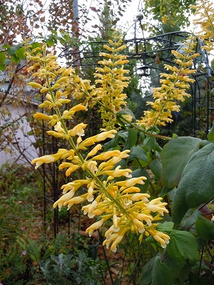 c0117007_21534229.jpg